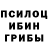 Псилоцибиновые грибы GOLDEN TEACHER Dr. Daster