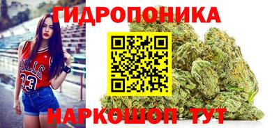 стаф Обь
