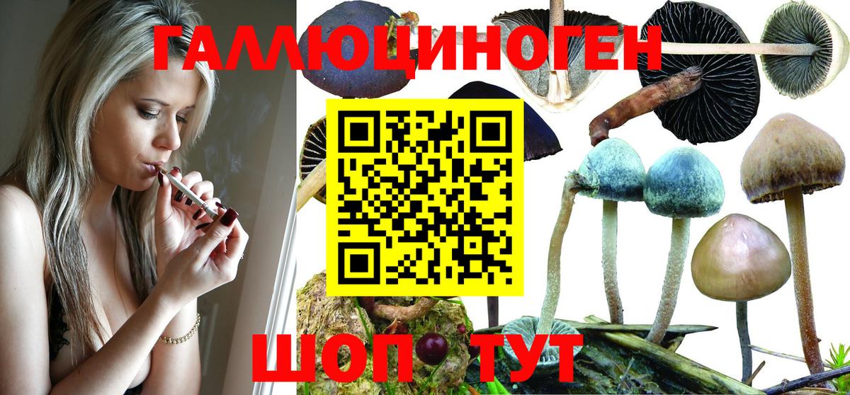 Биробиджан  Галлюциногенные грибы ЛСД  Вход с VPN 