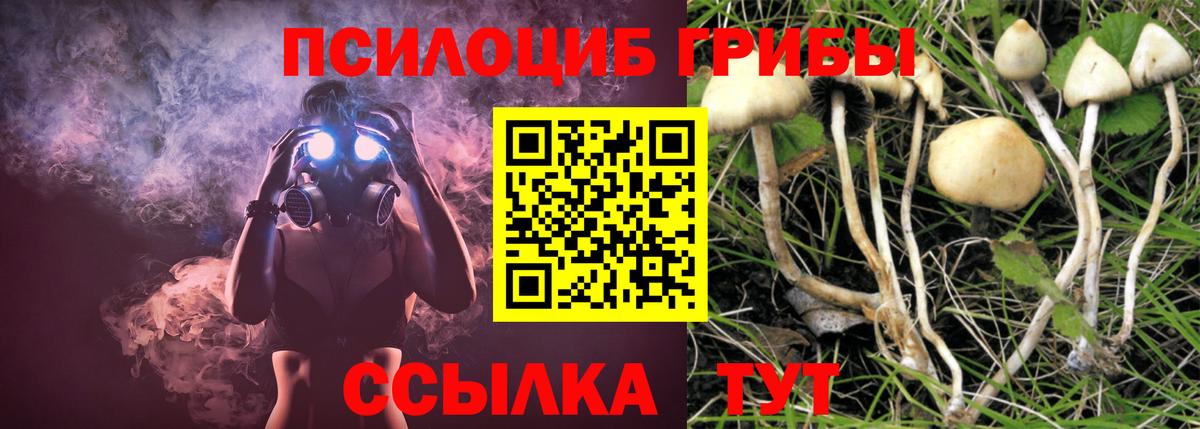 Псилоцибиновые грибы Magic Shrooms Биробиджан